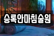 승록안마침술원