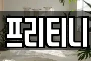 프리티니