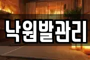 낙원발관리