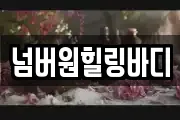 넘버원힐링바디