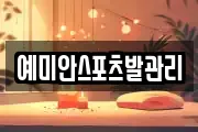 예미안스포츠발관리