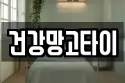 건강망고타이