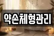 약손체형관리