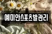 예미안스포츠발관리