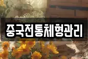 중국전통체형관리