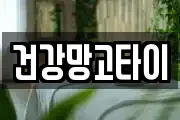 건강망고타이
