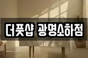 더풋샵 광명소하점