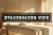 참약손지압마사지안마원 가산본점