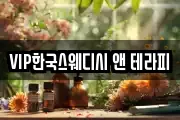 VIP한국스웨디시 앤 테라피