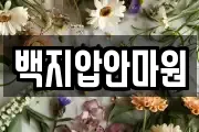 백지압안마원