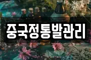 중국정통발관리