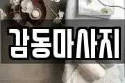 서울특별시 도봉구 마사지, 지압등 업체정보