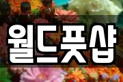 월드풋샵