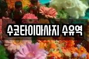 수코타이마사지 수유역