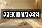 수코타이마사지 수유역