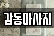 서울특별시 도봉구 창동 마사지, 지압등 업체정보