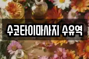 수코타이마사지 수유역