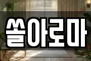쏠아로마