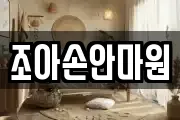 조아손안마원