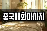 중국매화마사지