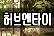 허브앤타이