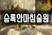 승록안마침술원
