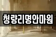 청량리명안마원