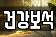 건강보석