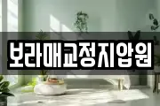 보라매교정지압원