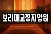 보라매교정지압원
