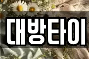 대방타이