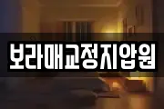 보라매교정지압원