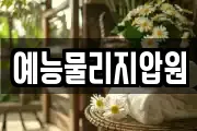 예능물리지압원