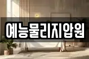 예능물리지압원