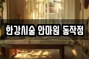 한강시술 안마원 동작점