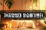 3H지압침대 장승배기센터