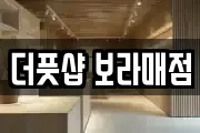 더풋샵 보라매점
