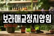 보라매교정지압원