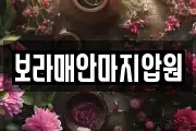 보라매안마지압원