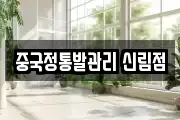 중국정통발관리 신림점