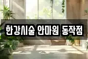 한강시술 안마원 동작점