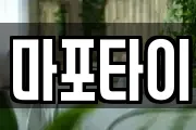 마포타이