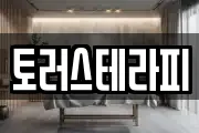 토러스테라피