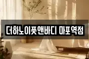 더하노이풋앤바디 마포역점