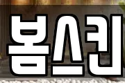 봄스킨