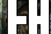 태