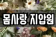 서울특별시 마포구 창전동 마사지, 지압등 업체정보