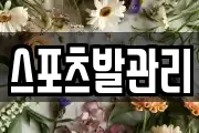 스포츠발관리