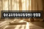 서울특별시 마포구 합정동 마사지, 지압등 업체정보