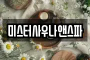 미스터사우나앤스파